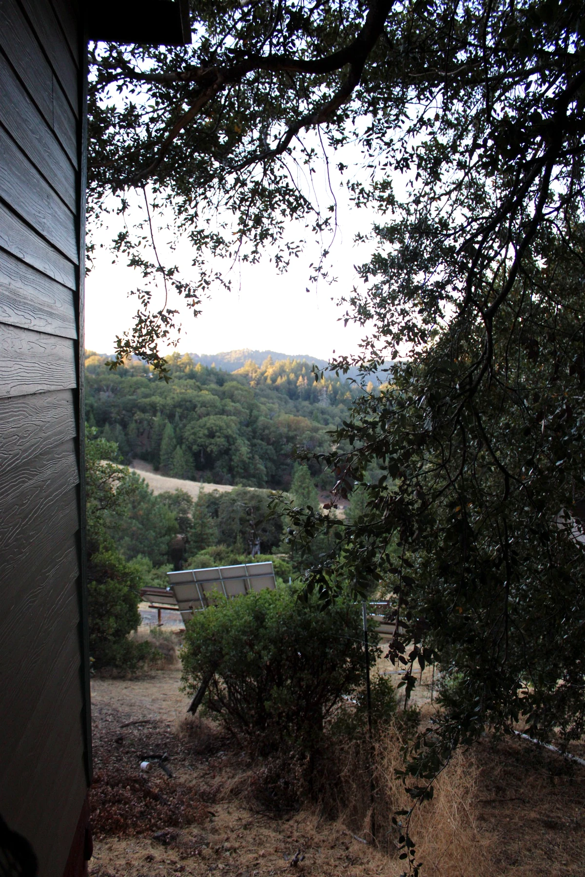 View across the Northern Mendocino hills from the farm